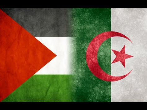 لا يحق للجزائري التدخل في الشأن الفلسطيني !!
